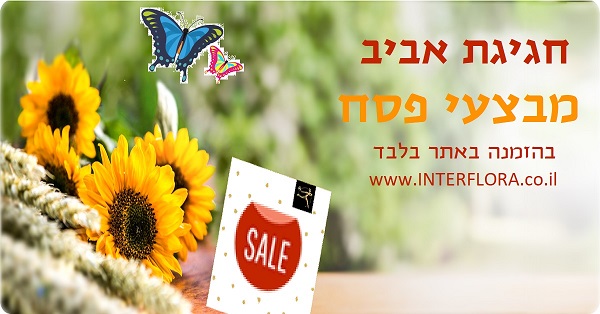 מבצעי פרחים לפסח