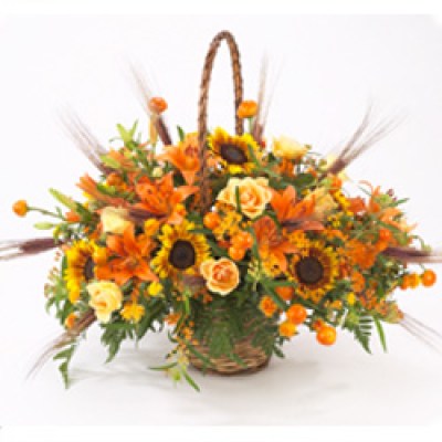 interflora_product_00511